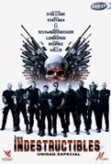 pelicula Los Indestructibles,Los Indestructibles online