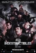 pelicula Los Indestructibles 2,Los Indestructibles 2 online