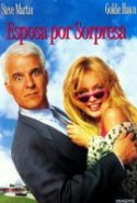 pelicula Esposa Por Sorpresa,Esposa Por Sorpresa online
