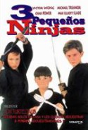 pelicula 3 Ninjas,3 Ninjas online